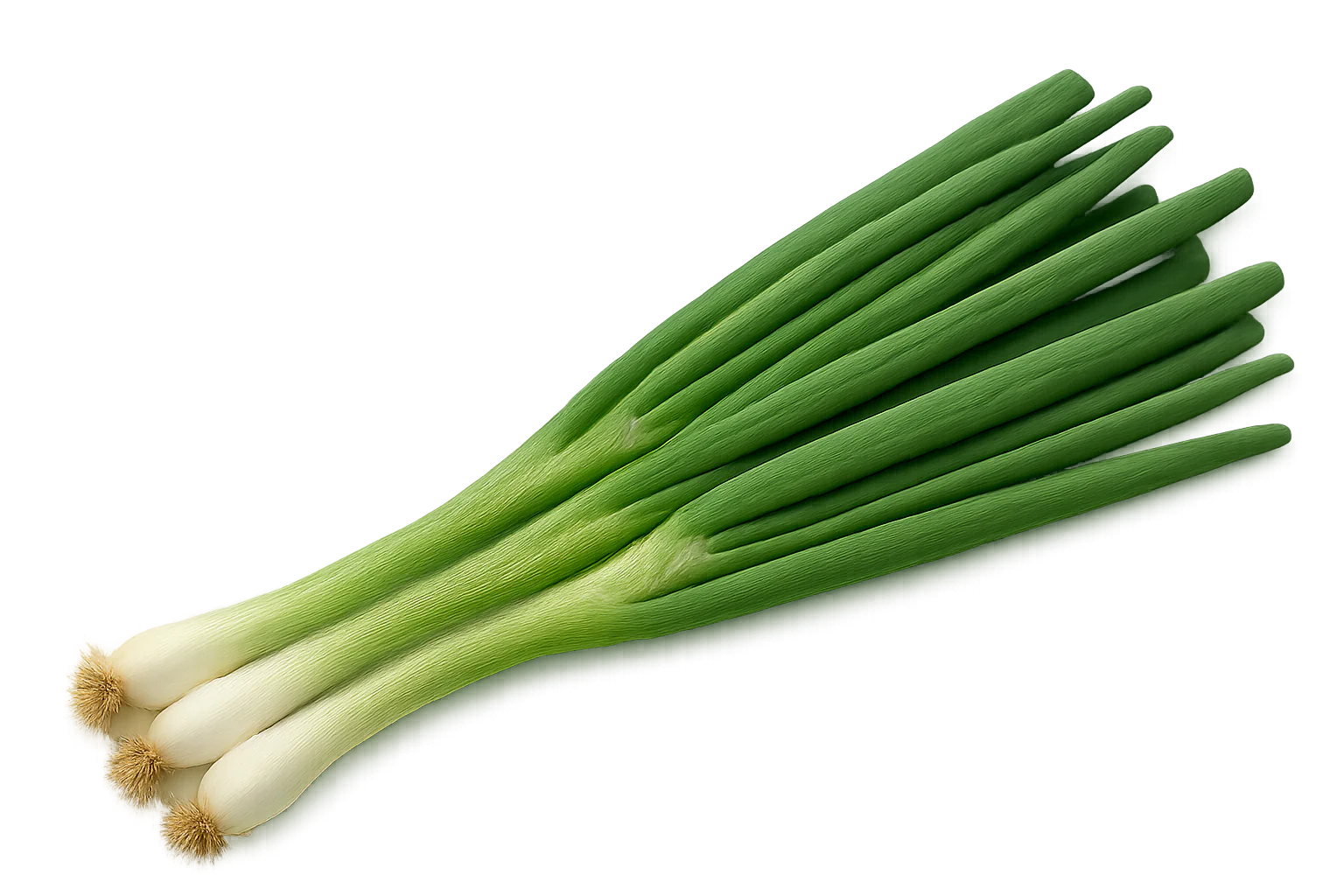 Herb - Green Onion (2 Pack)