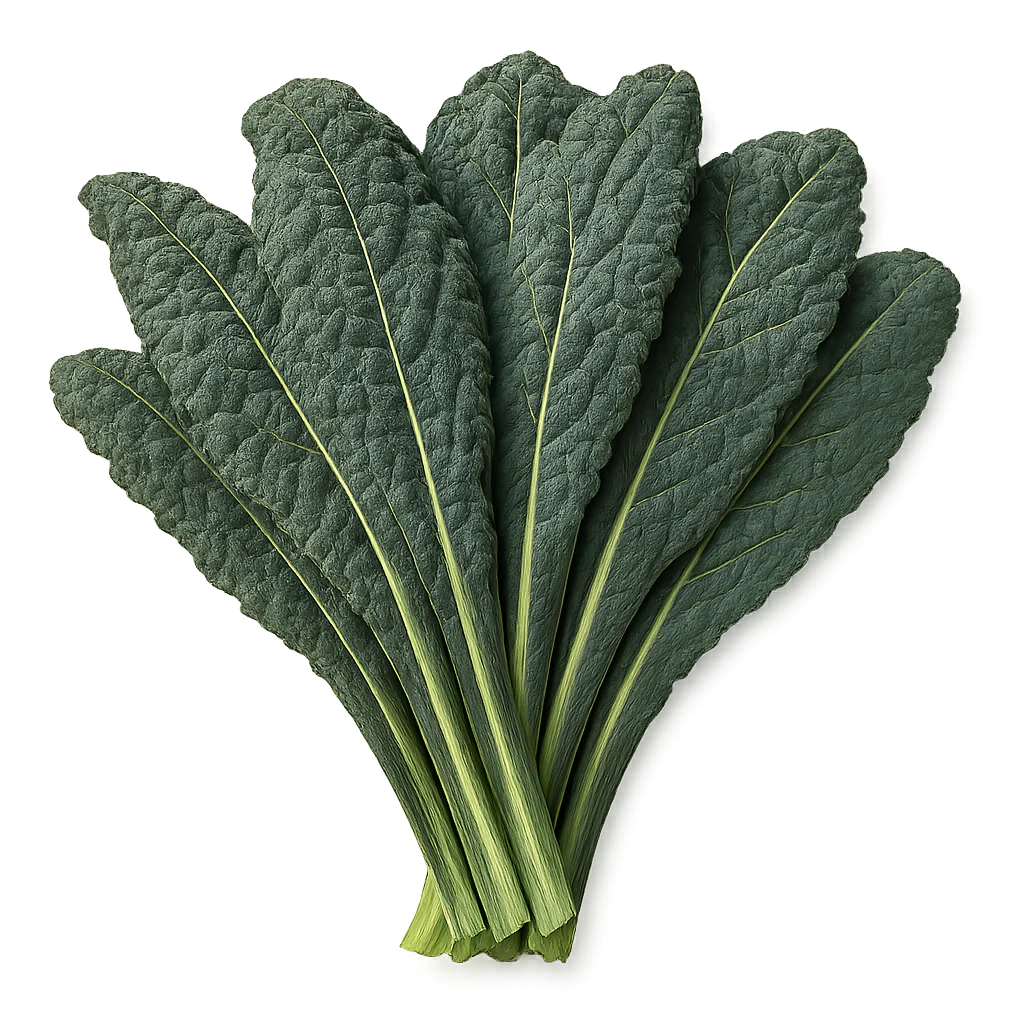 Kale - Lacinato (2 Pack)