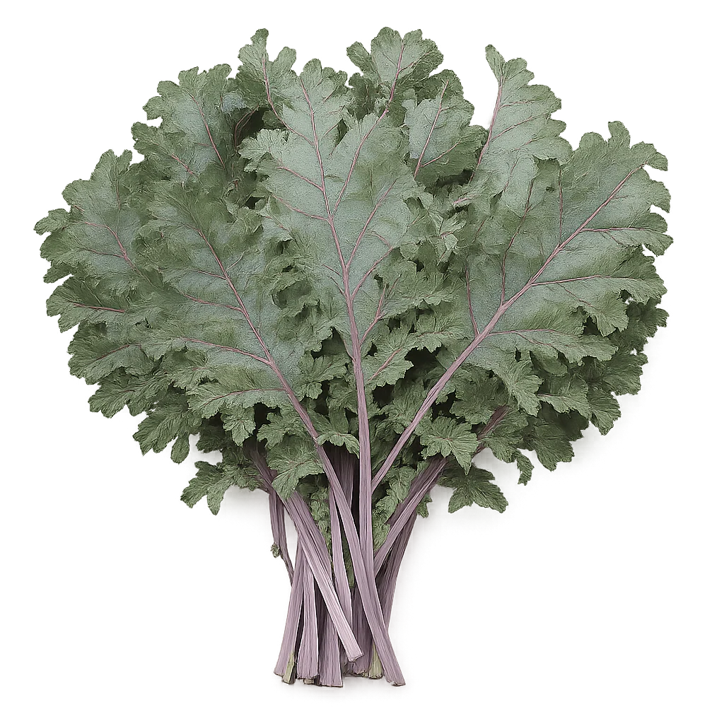 Kale - Red Frilled (2 Pack)
