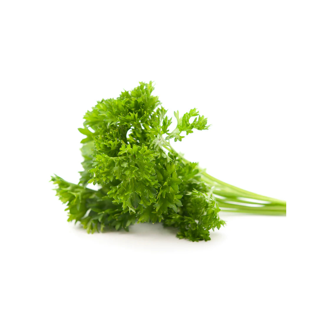 Herb - Parsley (Curly) (2 Pack)