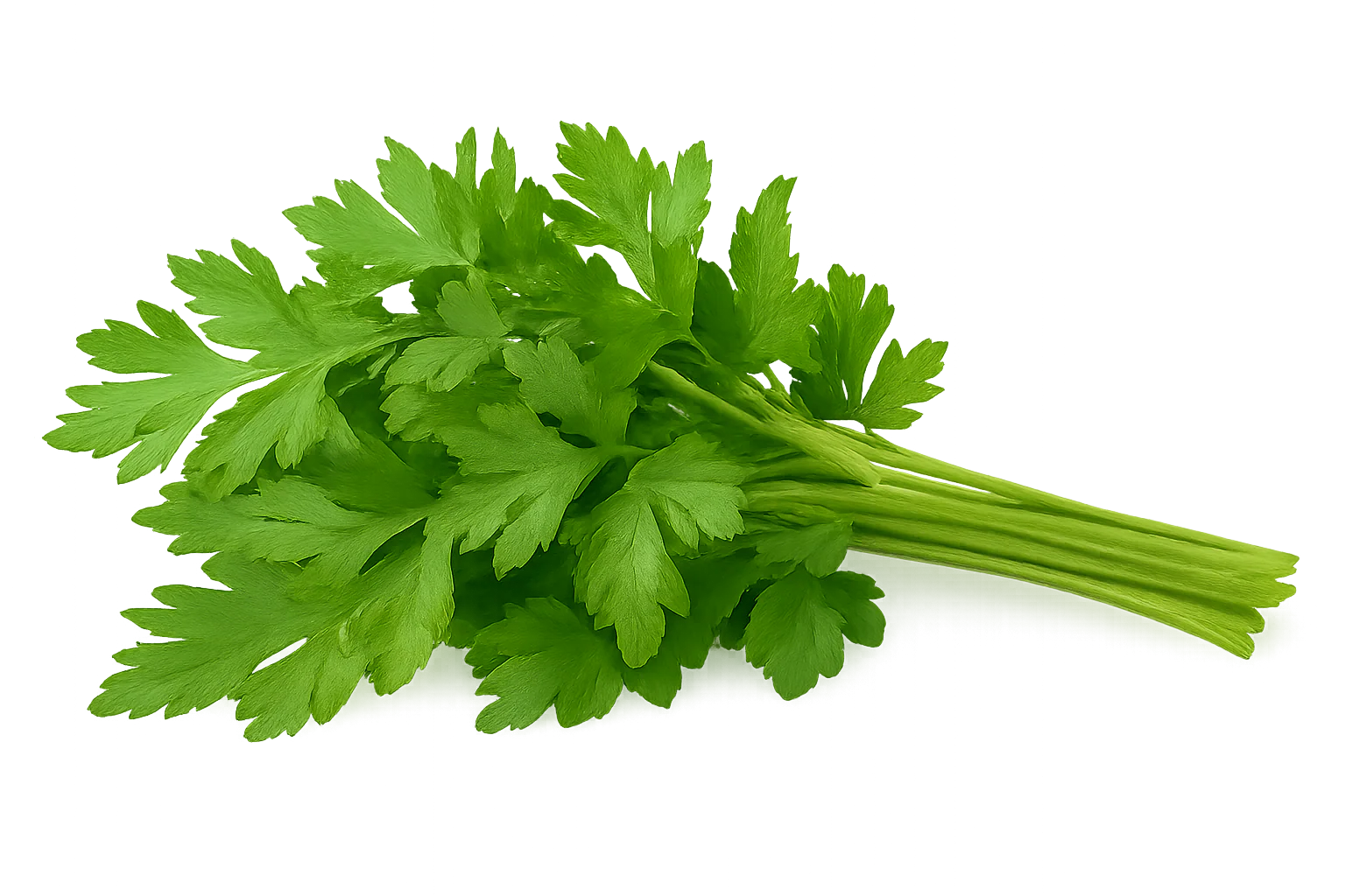 Herb - Parsley (Italian Flat) (2 Pack)