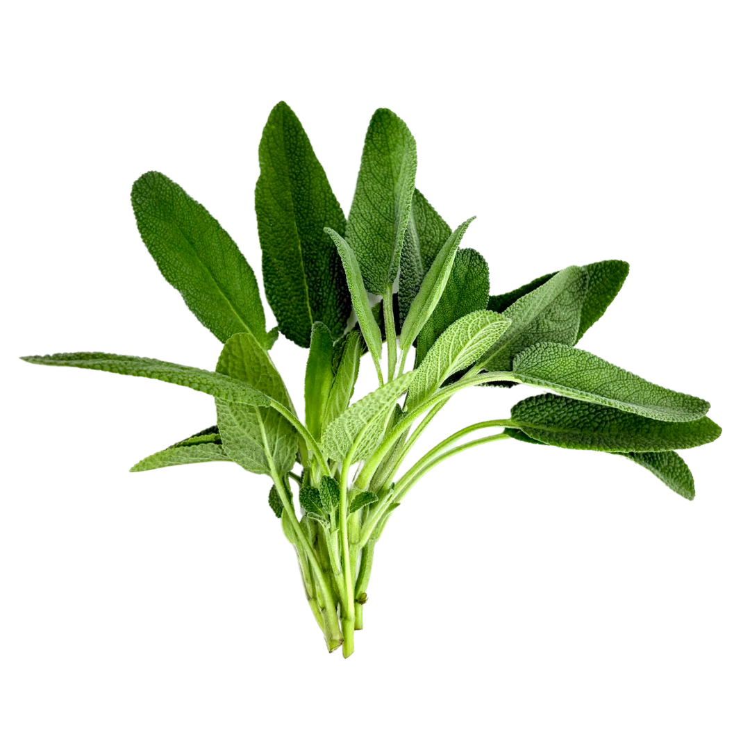Herb - Sage (Broadleaf) (2 Pack)