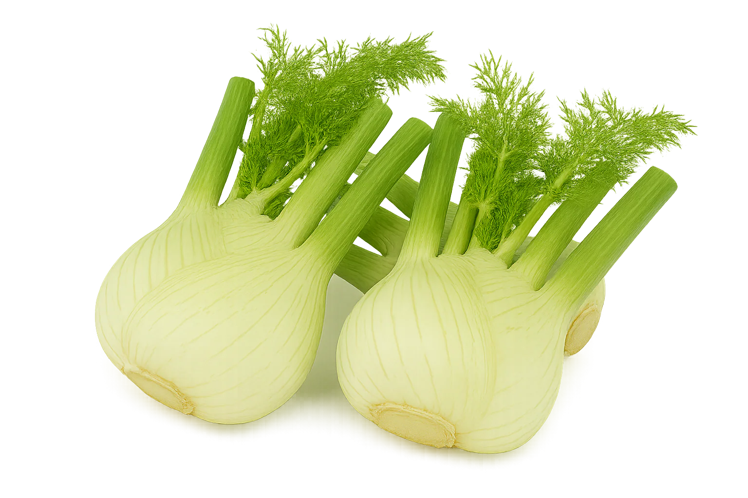 Herb - Fennel (2 Pack)